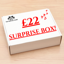 Load image into Gallery viewer, £22 Surprise Box!
