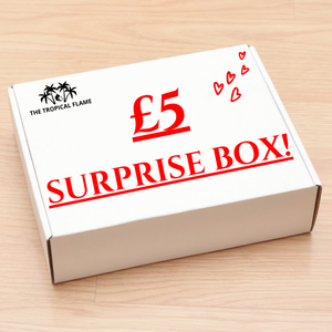 £5 Surprise Box!